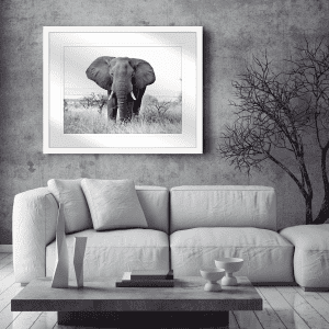 Toto African Animals 14 - Styled Room