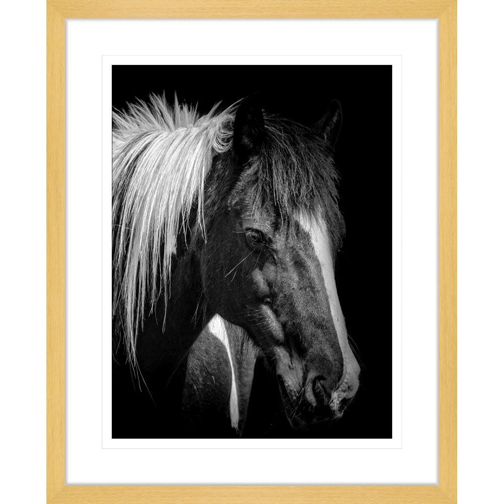 Austin-Horses-Collection-07-Framed-Art-Print-Horse07-Oak