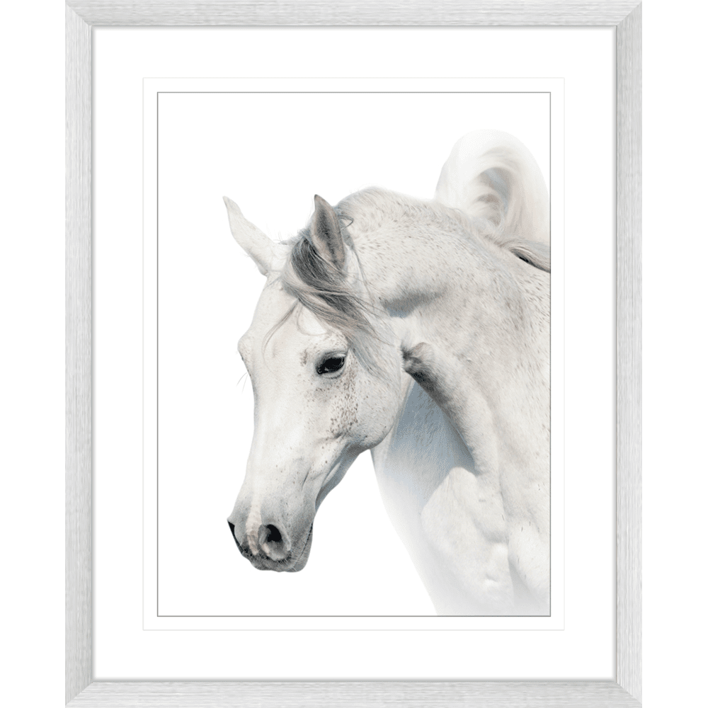 Austin Horses | Framed Art | Wall Art Gold Coast | Wallpaper | Innovate Interiors