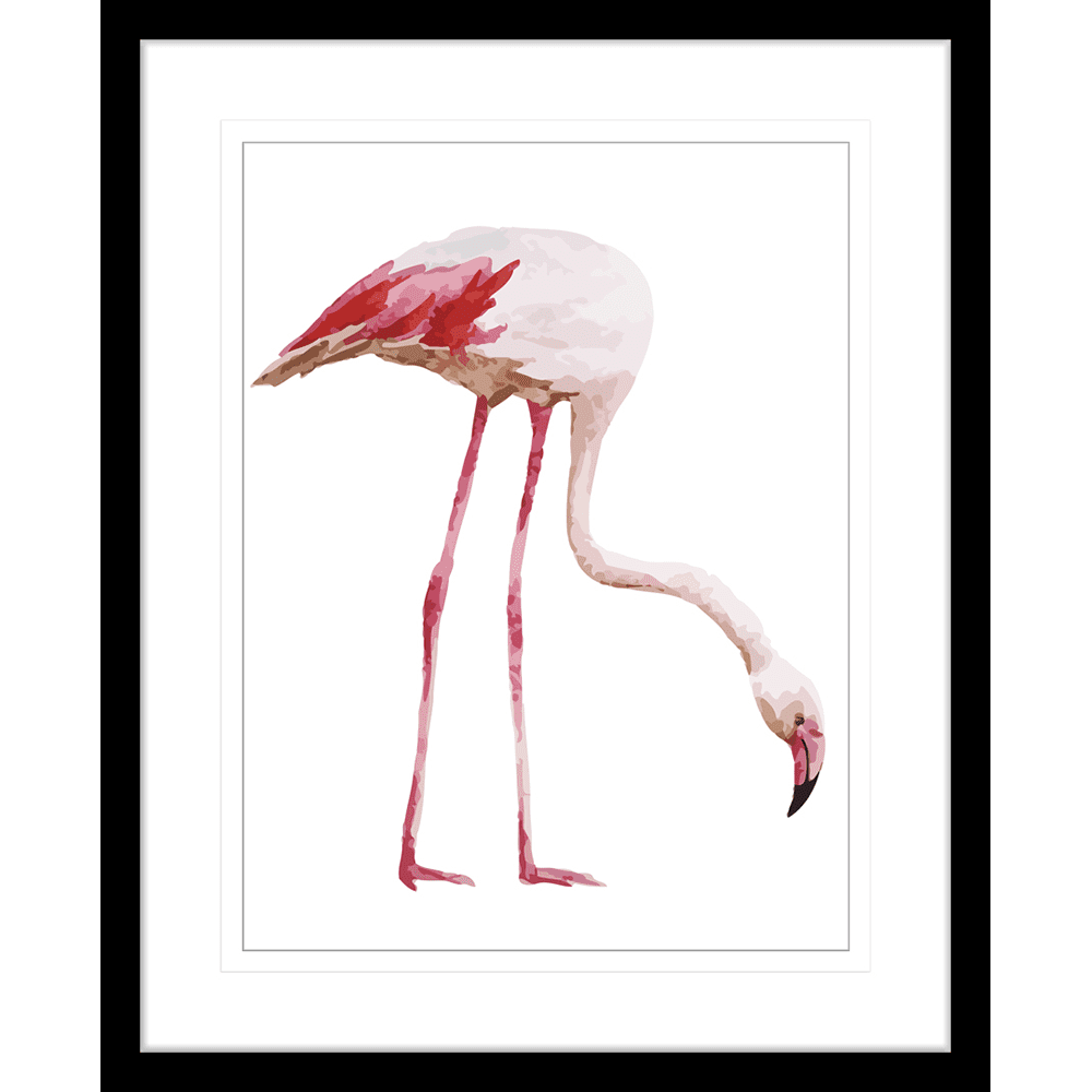 Avairy Bird | Framed Art | Wall Art Gold Coast | Wallpaper | Innovate Interiors