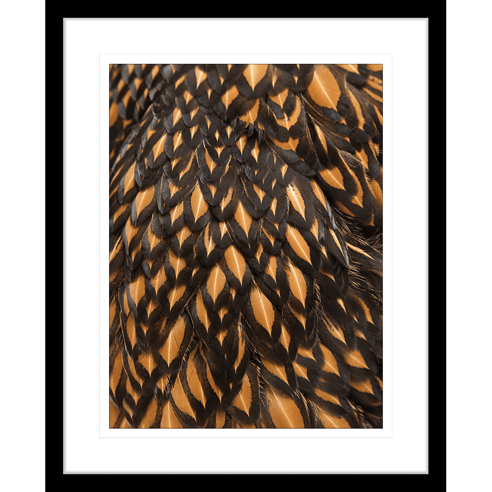 Gather & Nest | Framed Art | Wall Art Gold Coast | Wallpaper | Innovate Interiors