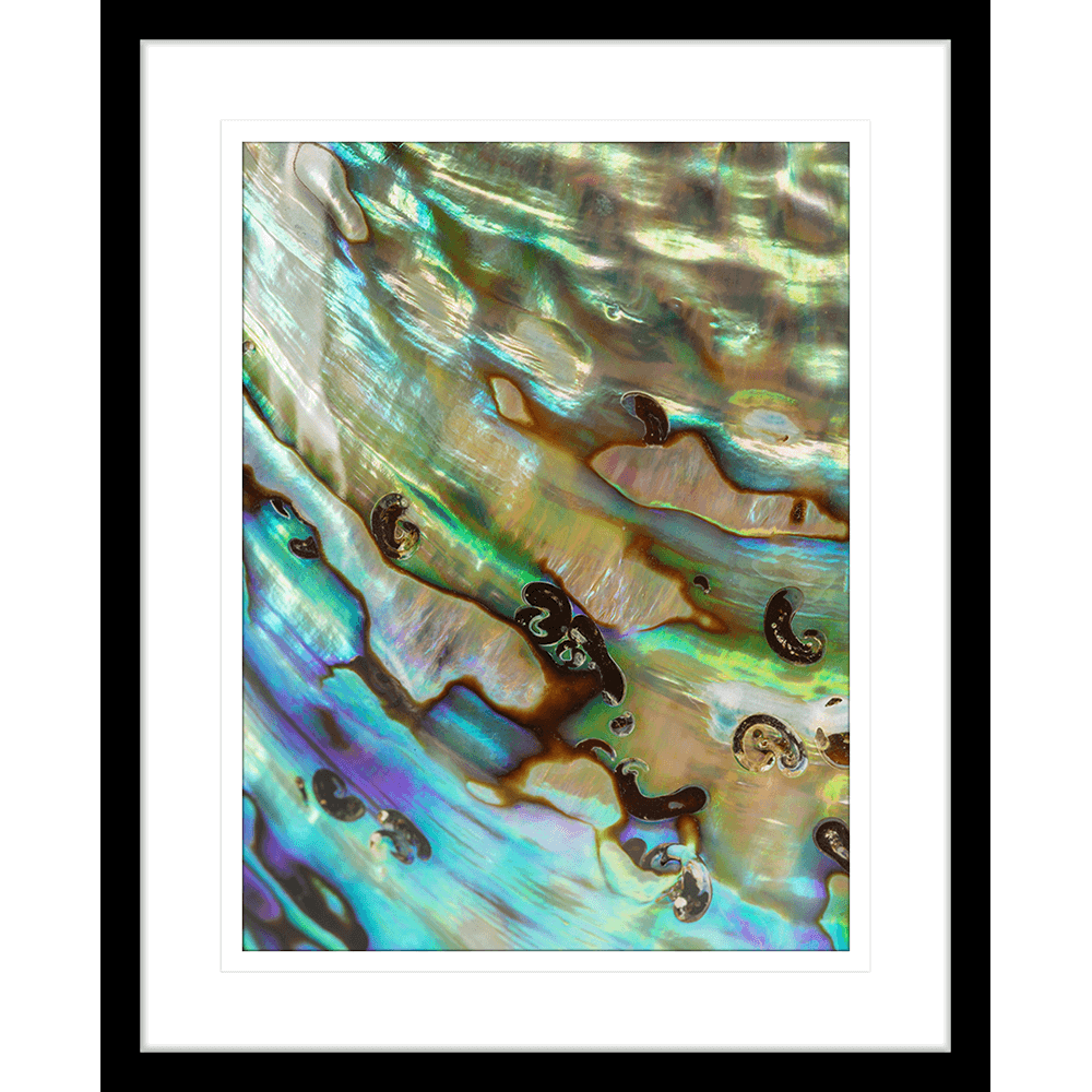 Pacific Paua | Framed Art | Wall Art Gold Coast | Wallpaper | Innovate Interiors
