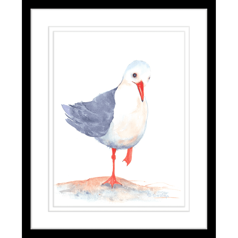 Watercolour Seagulls | Framed Art | Wall Art Gold Coast | Wallpaper | Innovate Interiors