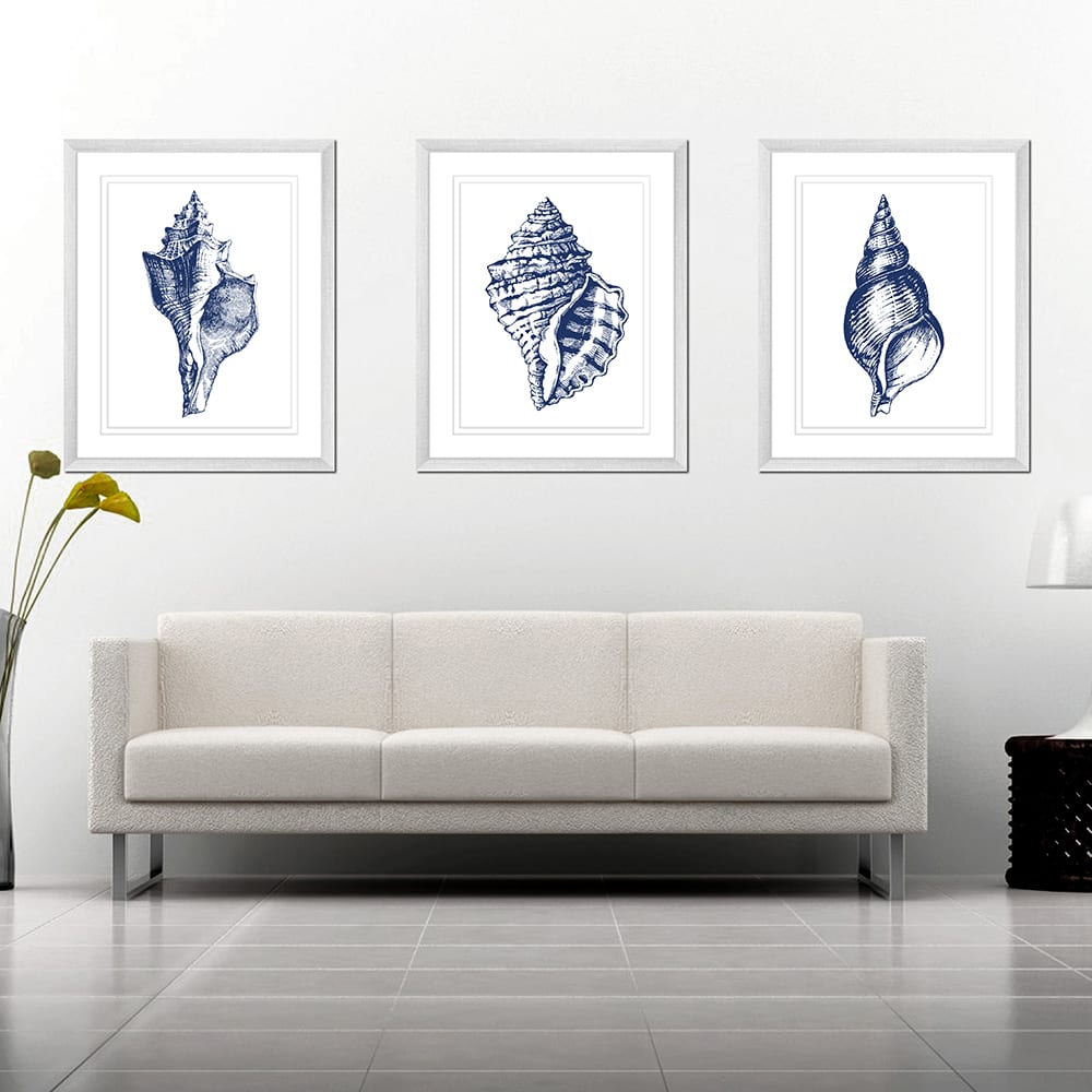 Stunning Shells | Framed Art | Wall Art Gold Coast | Wallpaper | Innovate Interiors