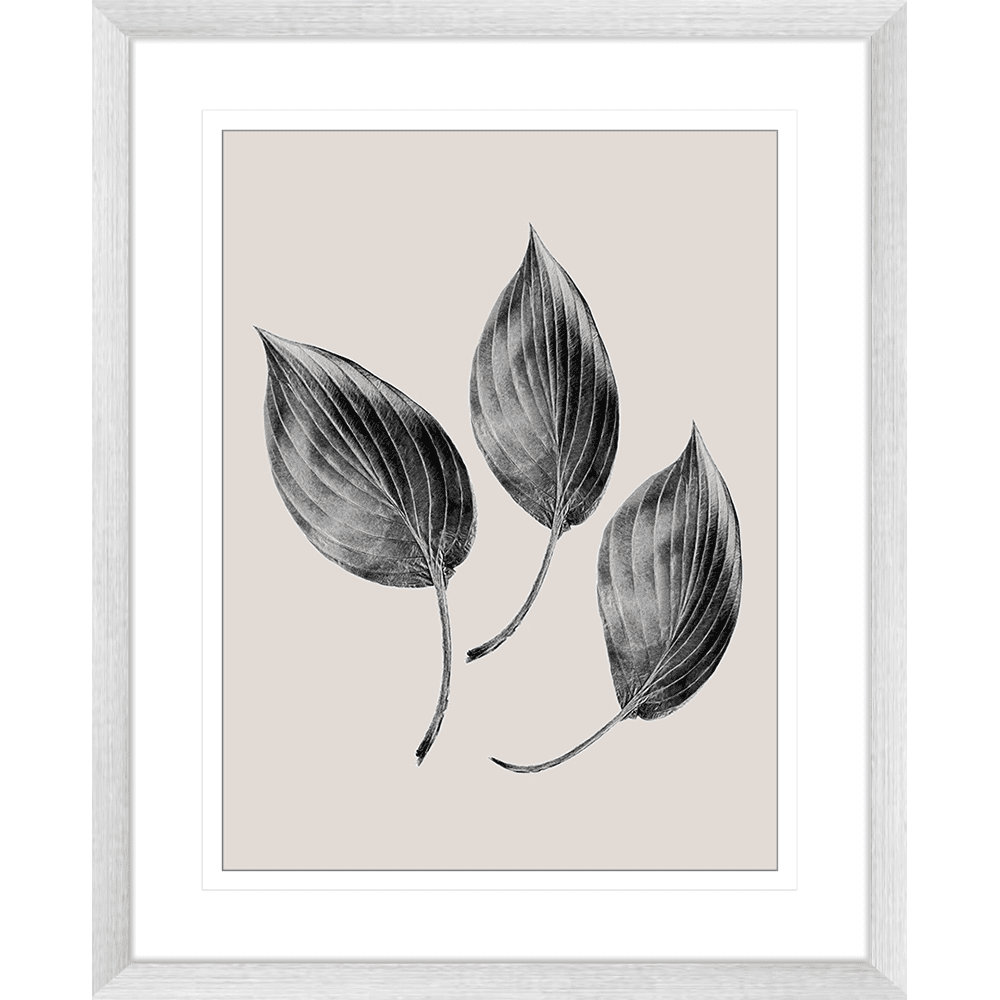 Aspen Leaves Collection #03 - Framed Art Print - ASP03 Silver