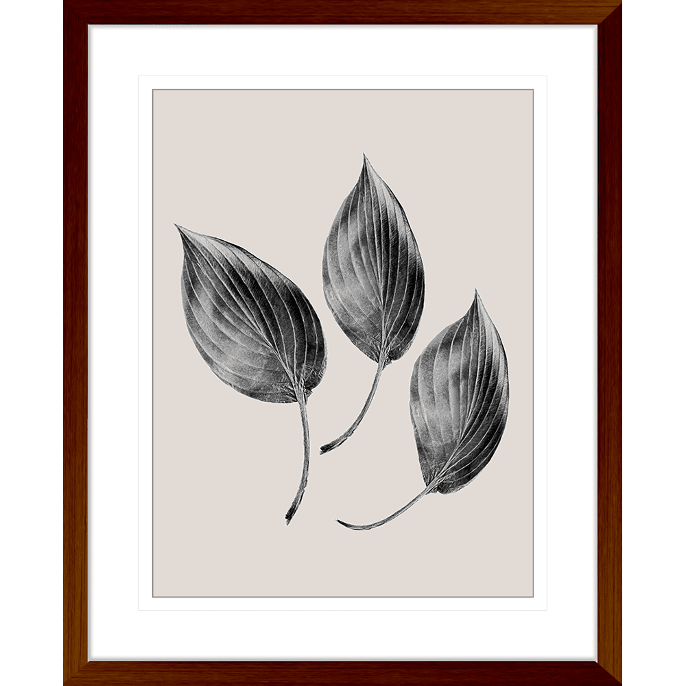 Aspen Leaves Collection #03 - Framed Art Print - ASP03 Teak