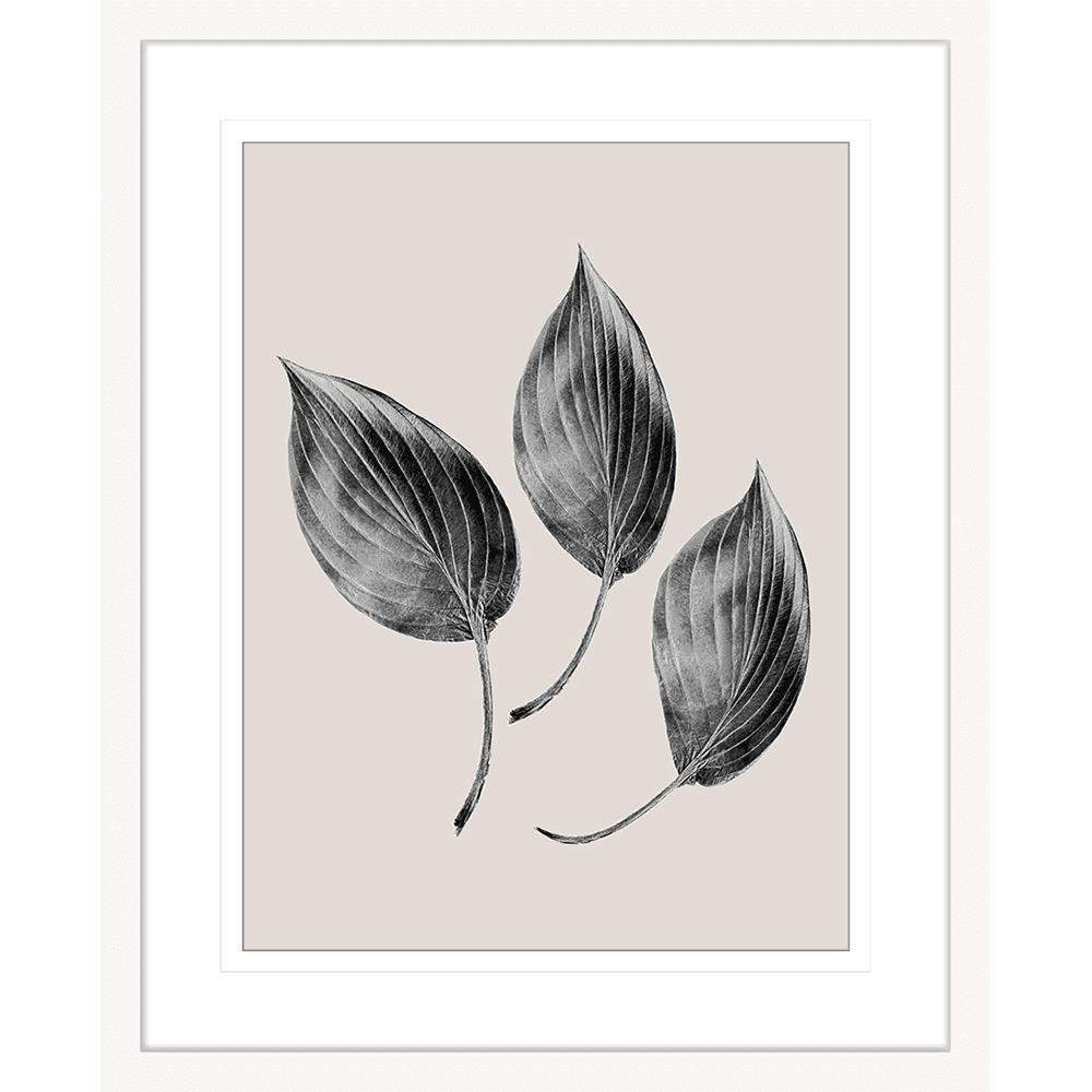 Aspen Leaves Collection #03 - Framed Art Print - ASP03 White