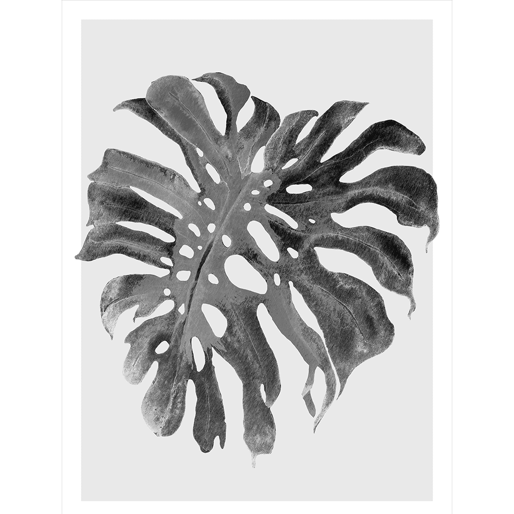 Modern Monstera Collection - MON01 - Stretched Canvas & Paper Print