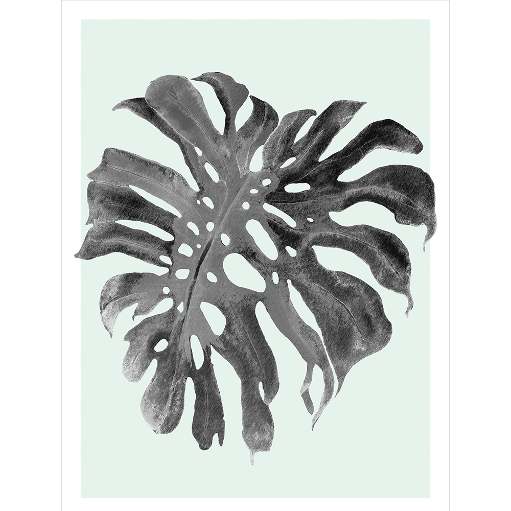 Modern Monstera Collection - MON05 - Stretched Canvas & Paper Print
