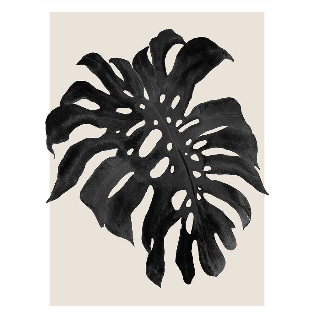 Modern Monstera Collection - MON08 - Stretched Canvas & Paper Print