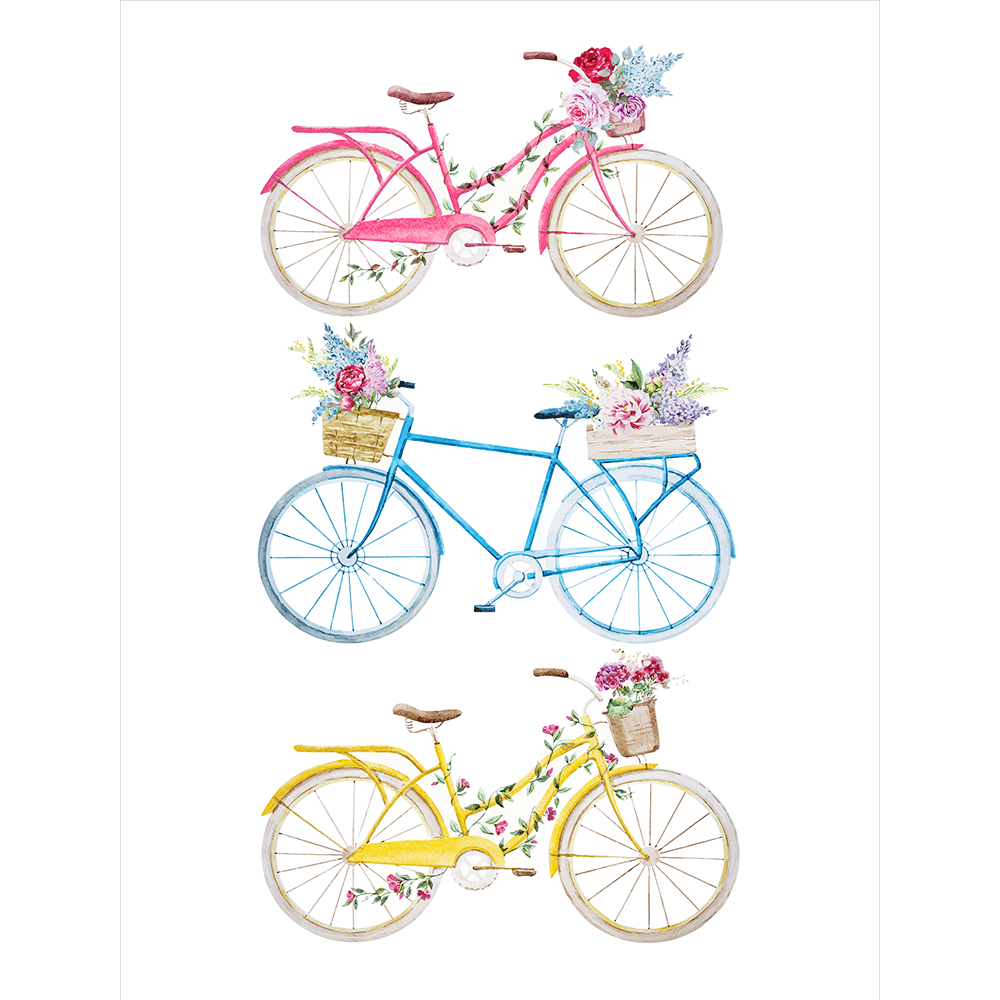 Bicycle Lane Collection - BICY01 - Stretched Canvas & Paper Print