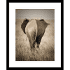 Toto African Animals 16 | Framed Artwork Black