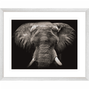 Toto African Animals 18 | Framed Artwork Silver