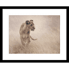 Toto African Animals 19 | Framed Artwork Black