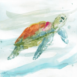 Turtle Tropics 01 | Print or Canvas