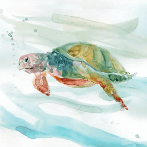 Turtle Tropics 02 | Print or Canvas