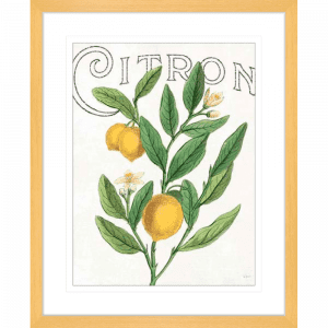 Classic Citrus 01 | Oak Framed Artwork