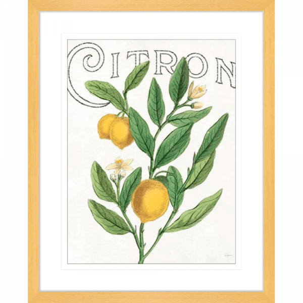 Classic Citrus 01 | Oak Framed Artwork
