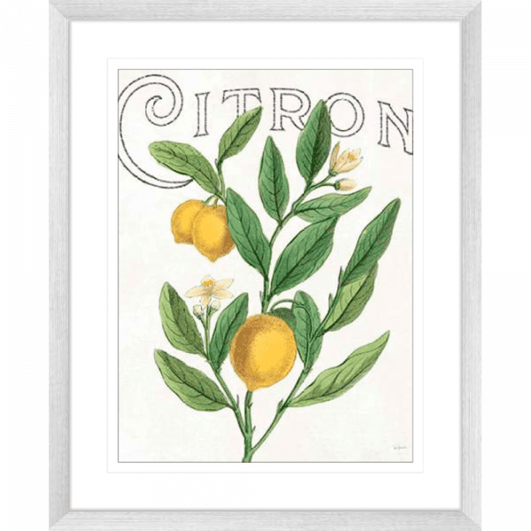 Classic Citrus 01 | Silver Framed Artwork