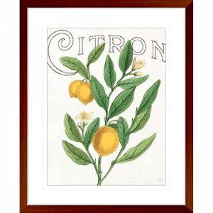 Classic Citrus 01 | Teak Framed Artwork