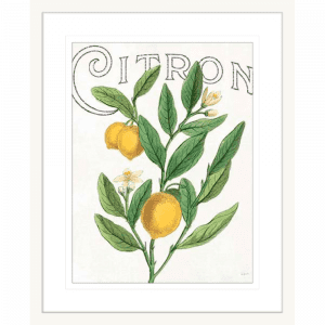 Classic Citrus 01 | White Framed Artwork