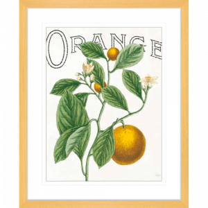 Classic Citrus 02 | Oak Framed Artwork