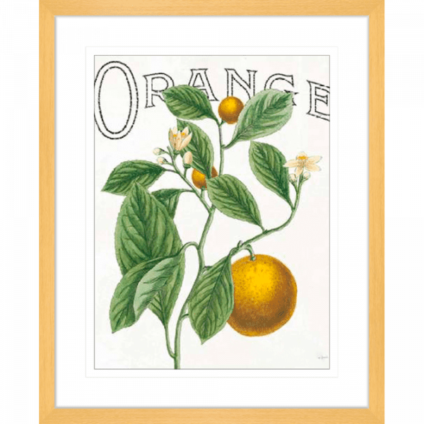 Classic Citrus 02 | Oak Framed Artwork