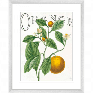 Classic Citrus 02 | Silver Framed Artwork