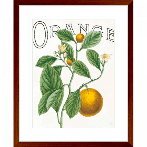 Classic Citrus 02 | Teak Framed Artwork
