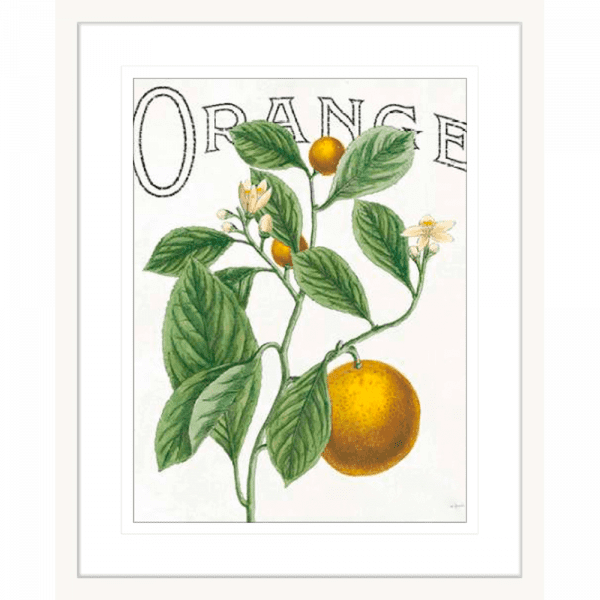 Classic Citrus 02 | White Framed Artwork
