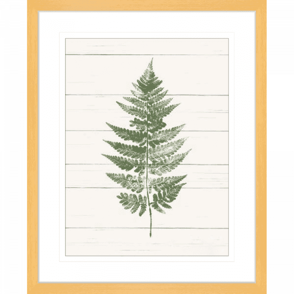 Fern Print 01 | Oak Framed Artwork