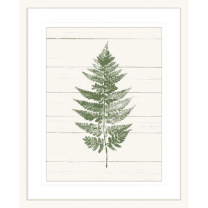 Fern Print 01 | White Framed Artwork