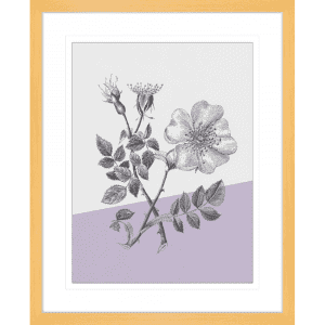 Conversations on Botany 01 | Oak Framed Artwork