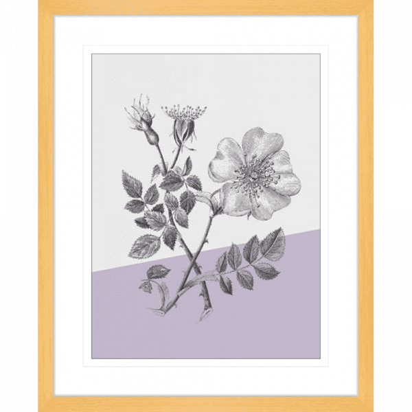 Conversations on Botany 01 | Oak Framed Artwork