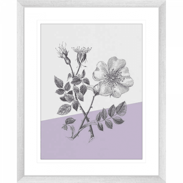 Conversations on Botany 01 | Silver Framed Artwork