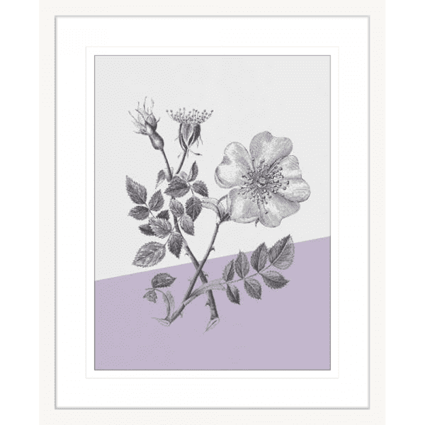 Conversations on Botany 01 | White Framed Artwork