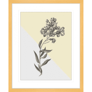 Conversations on Botany 02 | Oak Framed Artwork
