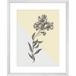 Conversations on Botany 02 | Silver Framed Artwork
