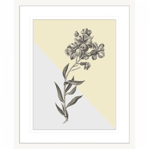 Conversations on Botany 02 | White Framed Artwork