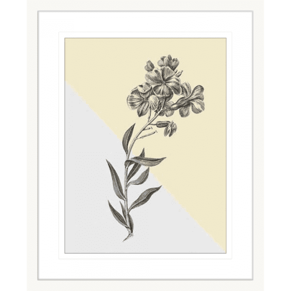 Conversations on Botany 02 | White Framed Artwork
