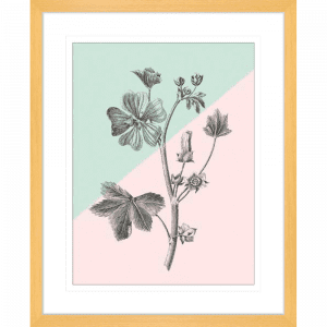 Conversations on Botany 03 | Oak Framed Artwork