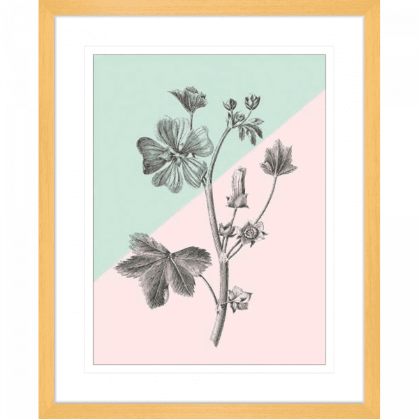 Conversations on Botany 03 | Oak Framed Artwork