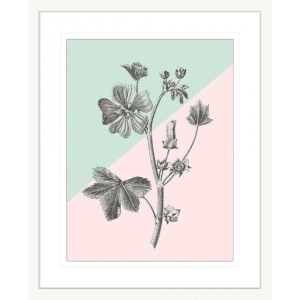 Conversations on Botany 03 | White Framed Artwork