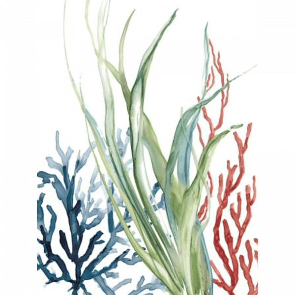 Ocean Garden 02 | Paper Print