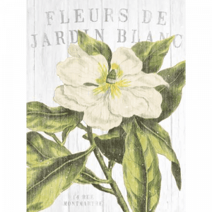 Fleuriste Paris | Print or Canvas