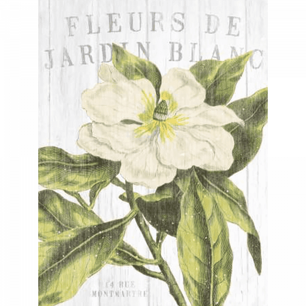 Fleuriste Paris | Print or Canvas