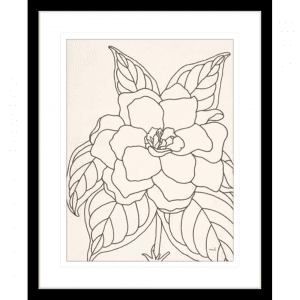'Gardenia' Line Drawing 01 | Black Framed Artwork