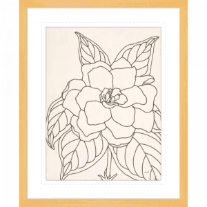 'Gardenia' Line Drawing 01 | Oak Framed Artwork