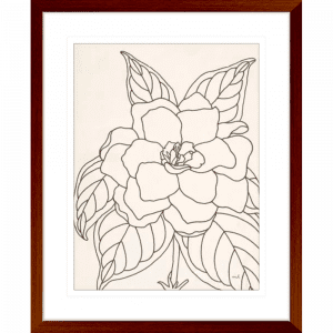'Gardenia' Line Drawing 01 | Teak Framed Artwork