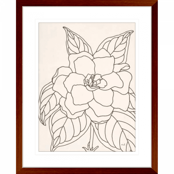 'Gardenia' Line Drawing 01 | Teak Framed Artwork